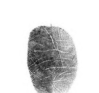 Fingerprint example